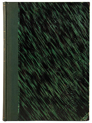 Новгородцев Л.В. Германия и её политическая жизнь (Антикварная книга 1904г.)