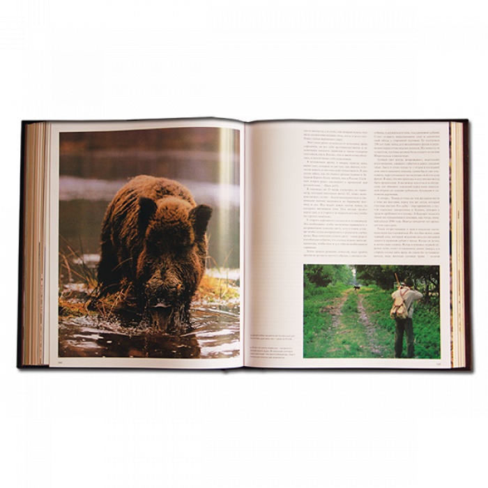 Блюхель К.Г. Охота