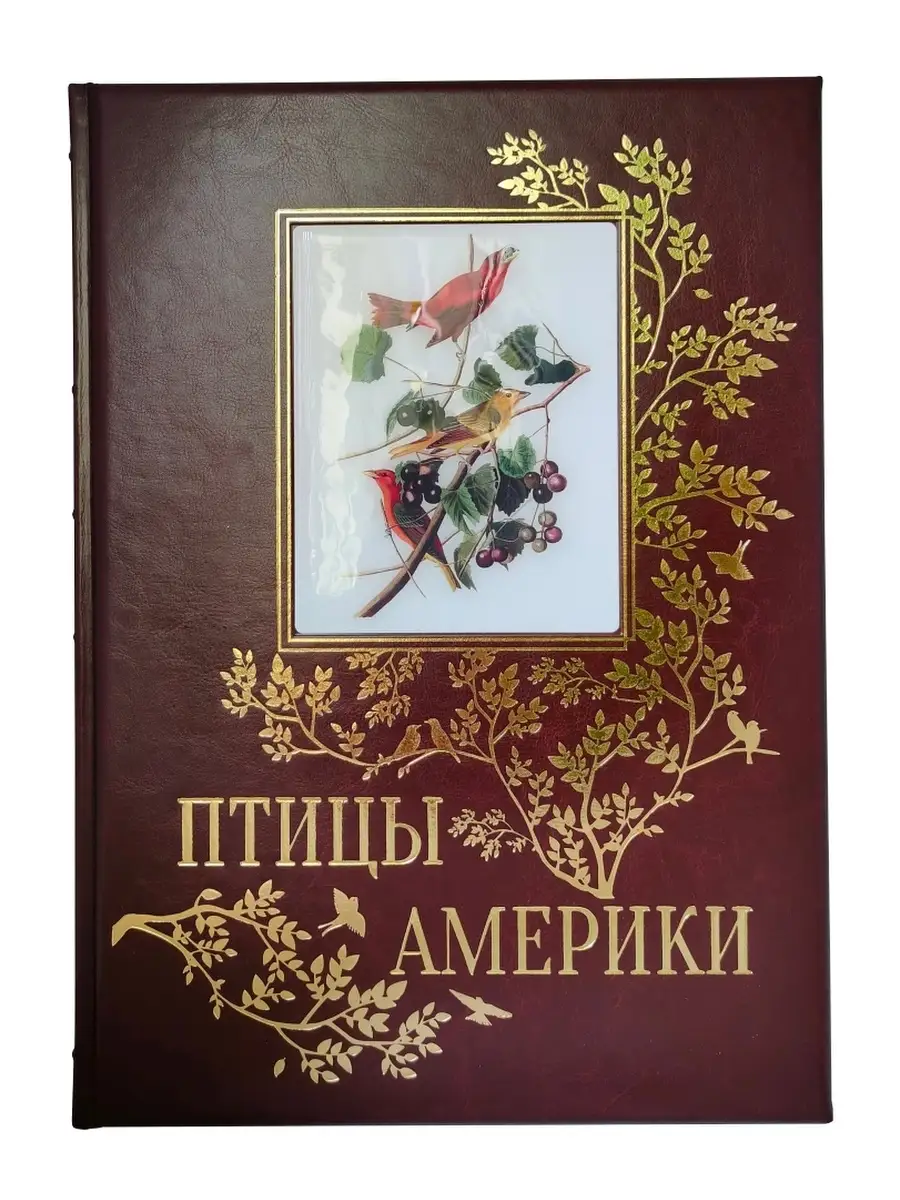 Птицы Америки