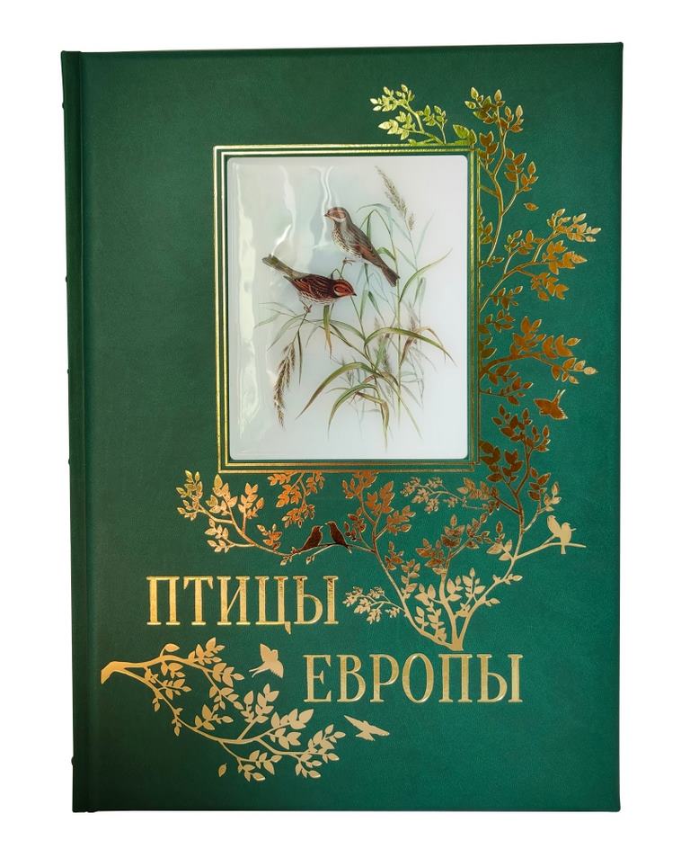 Птицы Европы