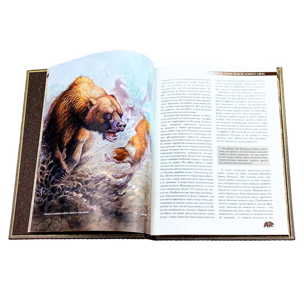 Подарочная книга «Охота на медведя», кожаный переплёт