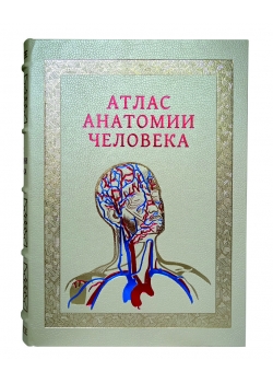 Подарочная книга "Атлас анатомии человека" в кожаном переплёте