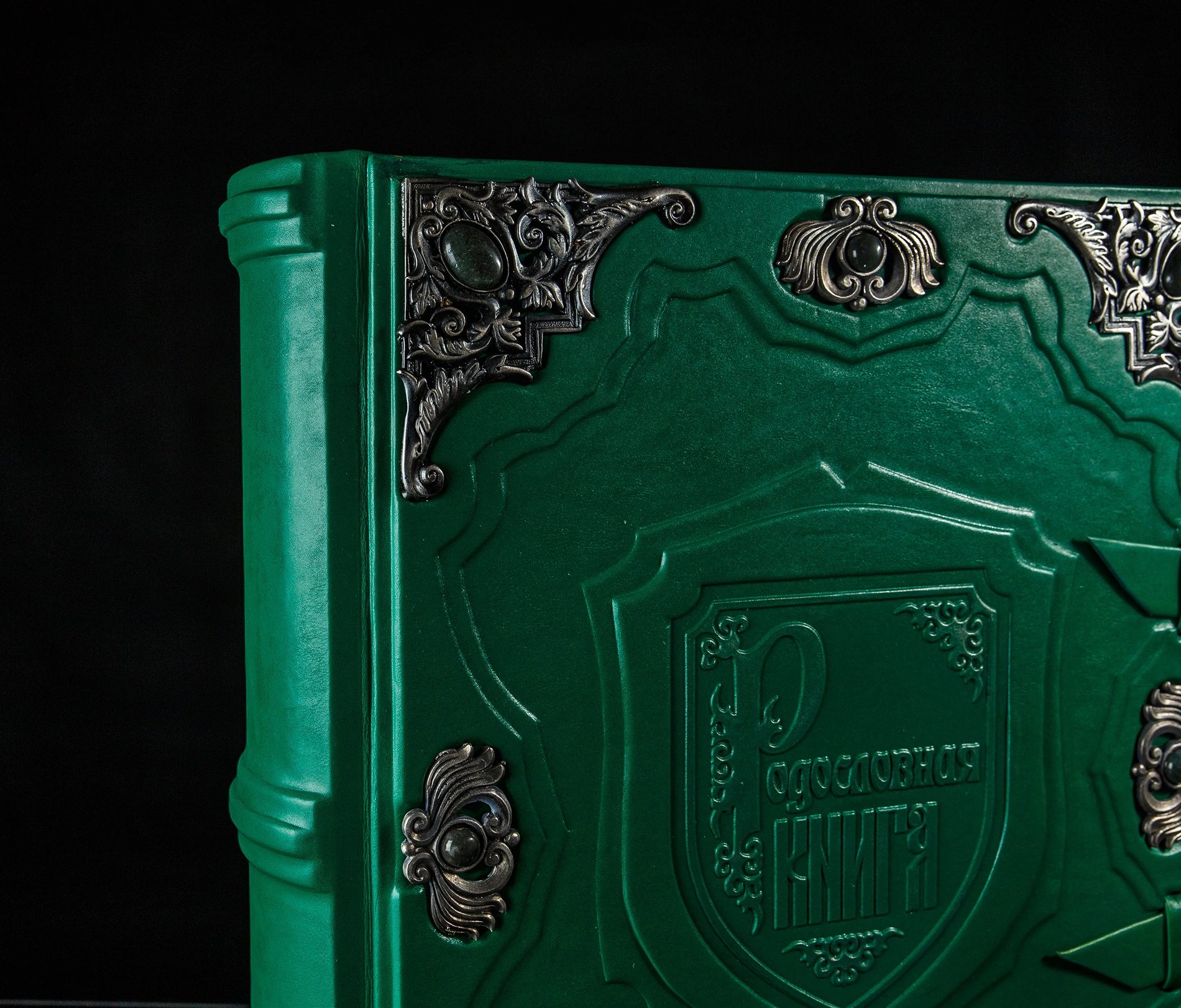 Родословная книга «Серебряная» в коже