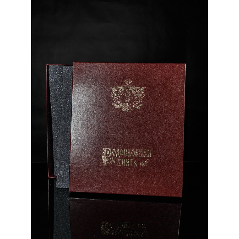 Родословная книга «Ажурная» в коже