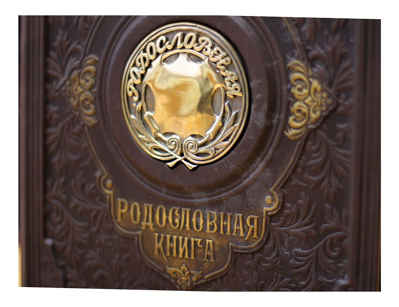 Родословная книга «Парадная» с бронзовой накладкой в коже