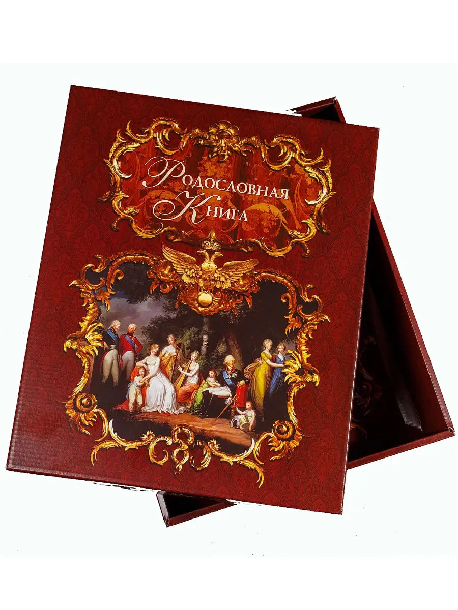 Родословная книга «Ренессанс» сапфир подарочная