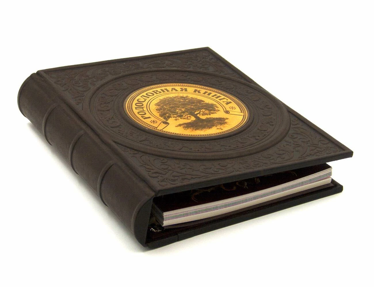 Родословная книга «Венеция» в коже