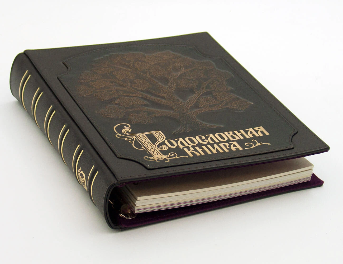 Родословная книга «Стандартная» подарочная