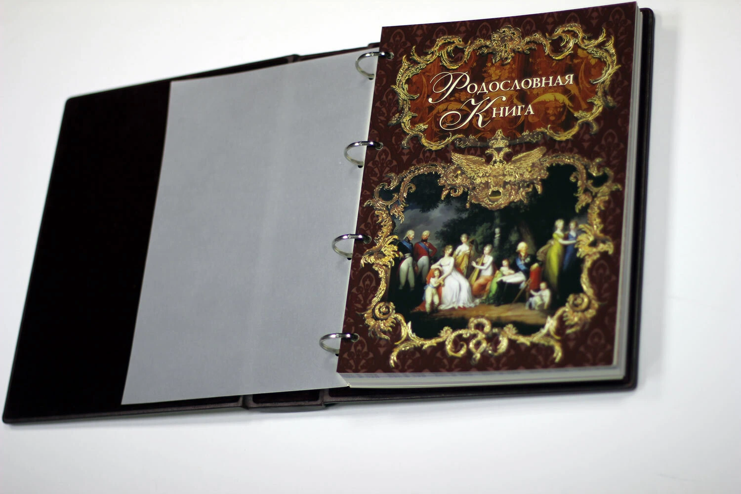 Родословная книга «Арт-Барокко» в коже