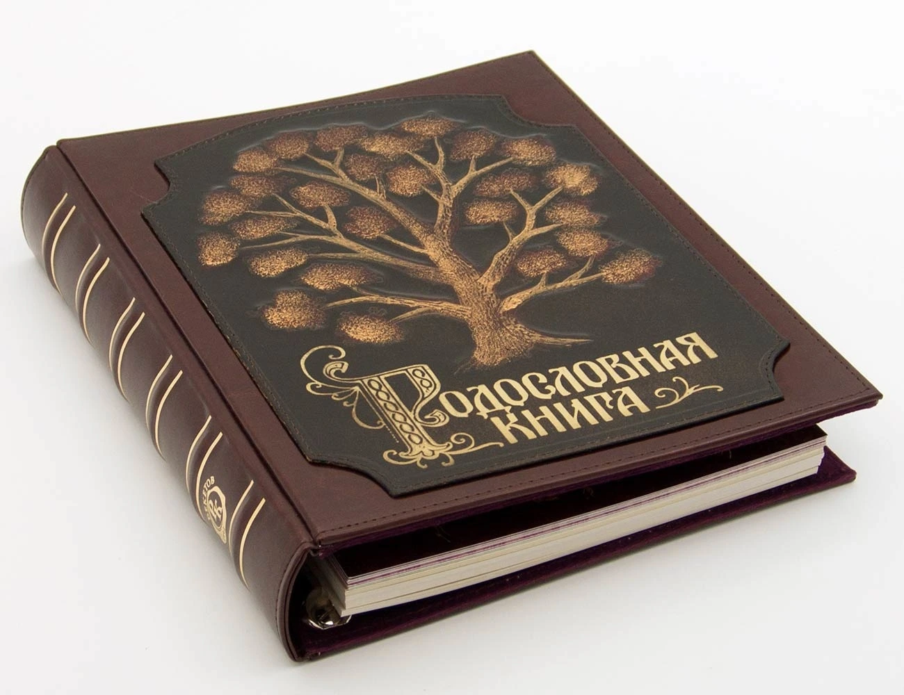 Родословная книга «Комби» Роспись подарочная