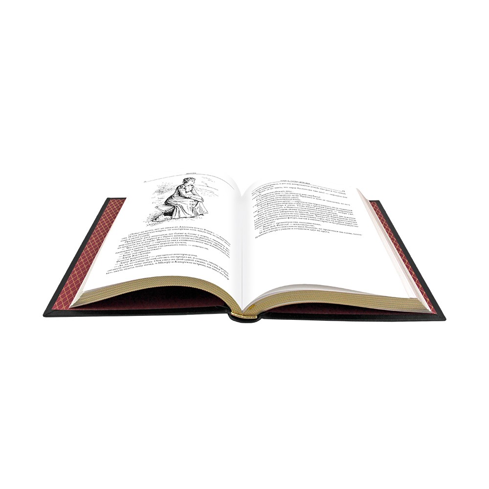 Подарочная книга "Артур Конан Дойл и др. Фенелла" в коже