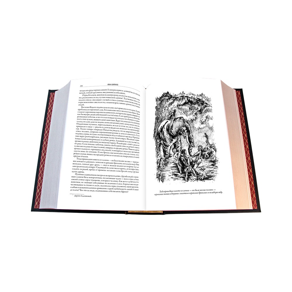 Подарочная книга "Великая Дуга. Повести, рассказы" И. Ефремова в кожаном переплёте