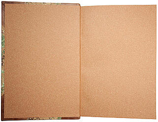 Жид Ш. История экономических учений (Антикварная книга 1914г.)