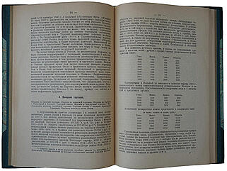 Пичета В.И. История народного хозяйства в России XIX-XX в.в. (Антикварная книга 1922г.)