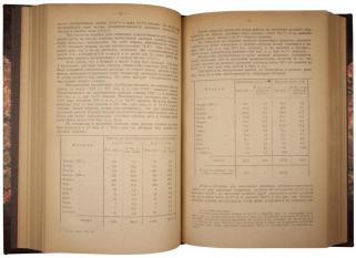 Русская промышленность в 1922 году. Материалы к 10-му Съезду Советов (Антикварная книга 1923г.)
