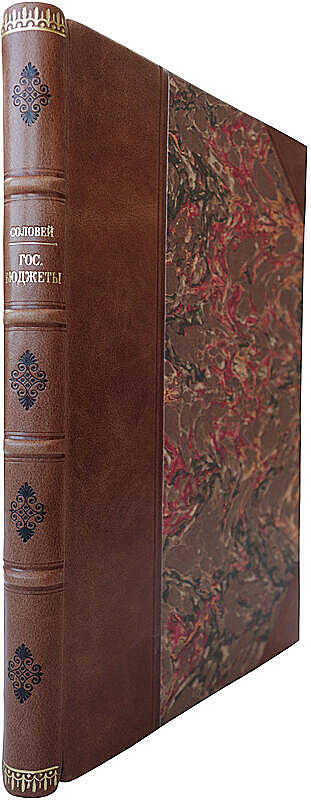 Соловей Г.Г. Государственные бюджеты (Антикварное издание 1928г.)