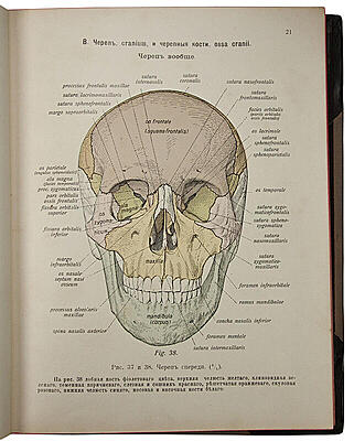 Sobotta J. Атлас описательной анатомии человека (Антикварное издание 1909-1912 гг. в 3 частях)