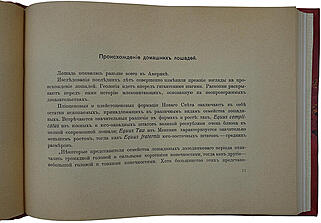 Бельгийский тяжеловоз. Монография Гендрика де Тельгоэ (Антикварная книга о тяжелых бельгийских лошадях  1914г.)