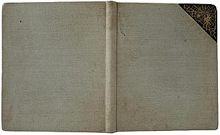 Блок А.А. Стихи о Прекрасной даме (Антикварное издание 1905г., первая книга поэта)