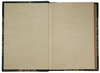 Богданов А. Из психологии общества (Антикварная книга 1906г.)