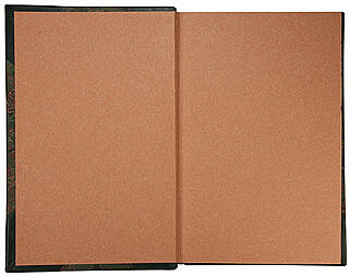 Бэн А. Психология (Антикварная книга 1887г.)