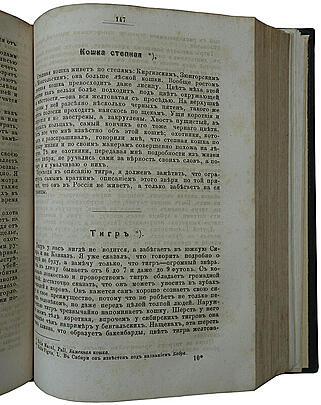 Вавилов М.П. Охота в России во всех ее видах (Антикварное издание 1873г.)
