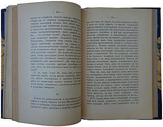 Вересаев В.В. Записки врача (Антикварная книга 1902г.)