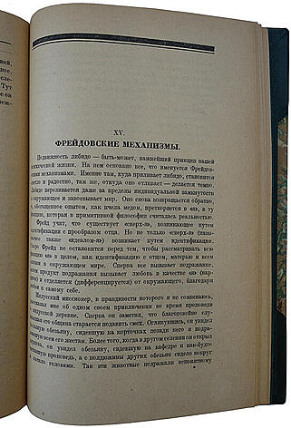 Виттельс Ф. Фрейд. Его личность, учение и школа (Антикварная книга 1925г.)