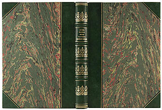 Гартвиг Г. Человек и природа на островах Великого океана (Антикварная книга 1876г.)