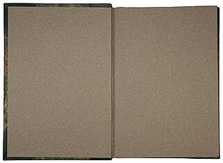 Гартвиг Г. Человек и природа на островах Великого океана (Антикварная книга 1876г.)