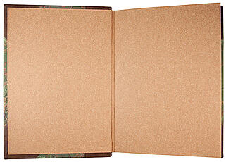 Записки декабриста Д.И. Завалишина (Антикварная книга 1906г.)