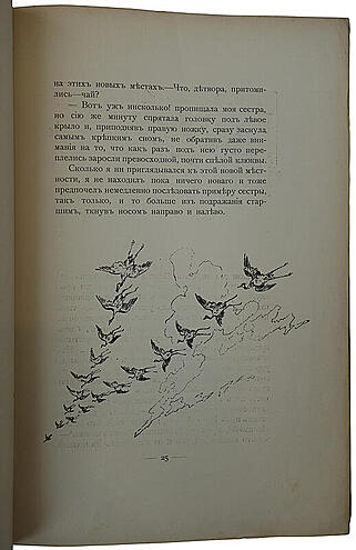 Каразин Н.Н. С севера на юг. Путевые воспоминания старого журавля (Антикварная книга 1890г.)