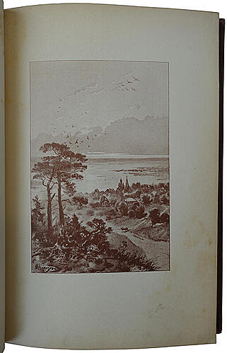 Каразин Н.Н. С севера на юг. Путевые воспоминания старого журавля (Антикварная книга 1890г.)