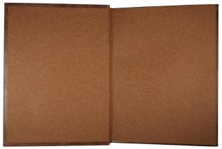 Кузнецов Н.Г. Какой мне купить автомобиль? Справочная книга для автомобилистов. Антикварная книга 1914 год