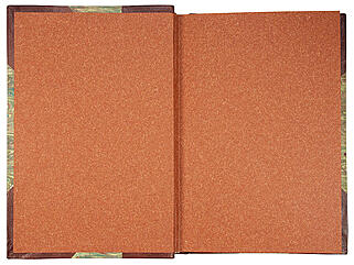 Лариш М. При дворе Габсбургов (Антикварная книга 1915г.)