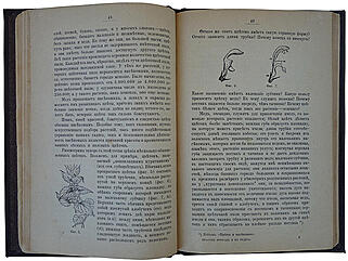 Леббок Д. Красоты природы и ее чудеса (Антикварная книга 1894г.)