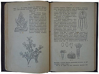 Леббок Д. Красоты природы и ее чудеса (Антикварная книга 1894г.)