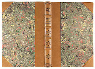 Мах Э. Анализ ощущений и отношение физического к психическому (Антикварная книга 1908г.)