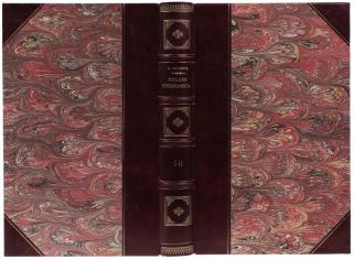 Мезиер А.В. Русская словесность с XI по XIX столетия включительно (Антикварная книга 1899г.)