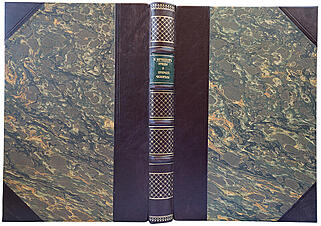 Мечников И.И. Этюды о природе человека (Антикварная книга 1905г.)
