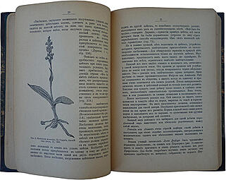 Мечников И.И. Этюды о природе человека (Антикварная книга 1905г.)
