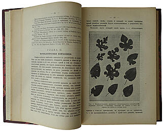 Основы племенного разведения (Антикварная книга 1912г.)