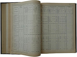 Отчет Особой Комиссии по составлению плана восстановления Каменноугольной и Антрацитовой Промышленности Донецкого бассейна (Из библиотеки Кржижановского Г.М., антикварное издание 1923г.)