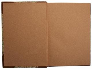 Плутарх XIX века. Знаменитые люди XIX века в биографиях и портретах (Антикварная книга 1902-1903гг.)