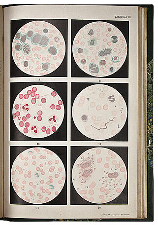 Предтеченский В.Е. Руководство к клинической микроскопии (Антикварная книга 1909г.)