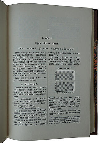 Рабинович И.Л. Эндшпиль (Антикварное издание 1927г.)