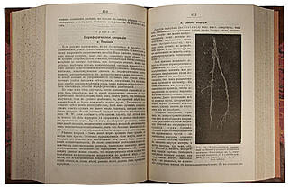 Руководство практической хирургии (Антикварное издание 1901-1903 гг. в 4-х томах, 6 частях)