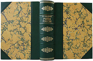Сабанеев Л.П. Рыбы России. Жизнь и ловля (ужение) наших пресноводных рыб (Антикварное издание 1911г.)