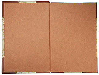 Страхов П.C. Эстетические задачи техники (Антикварная книга 1906г.)