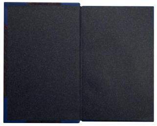 Форрейтер А. Аэропланы (Антикварная книга 1910г.)